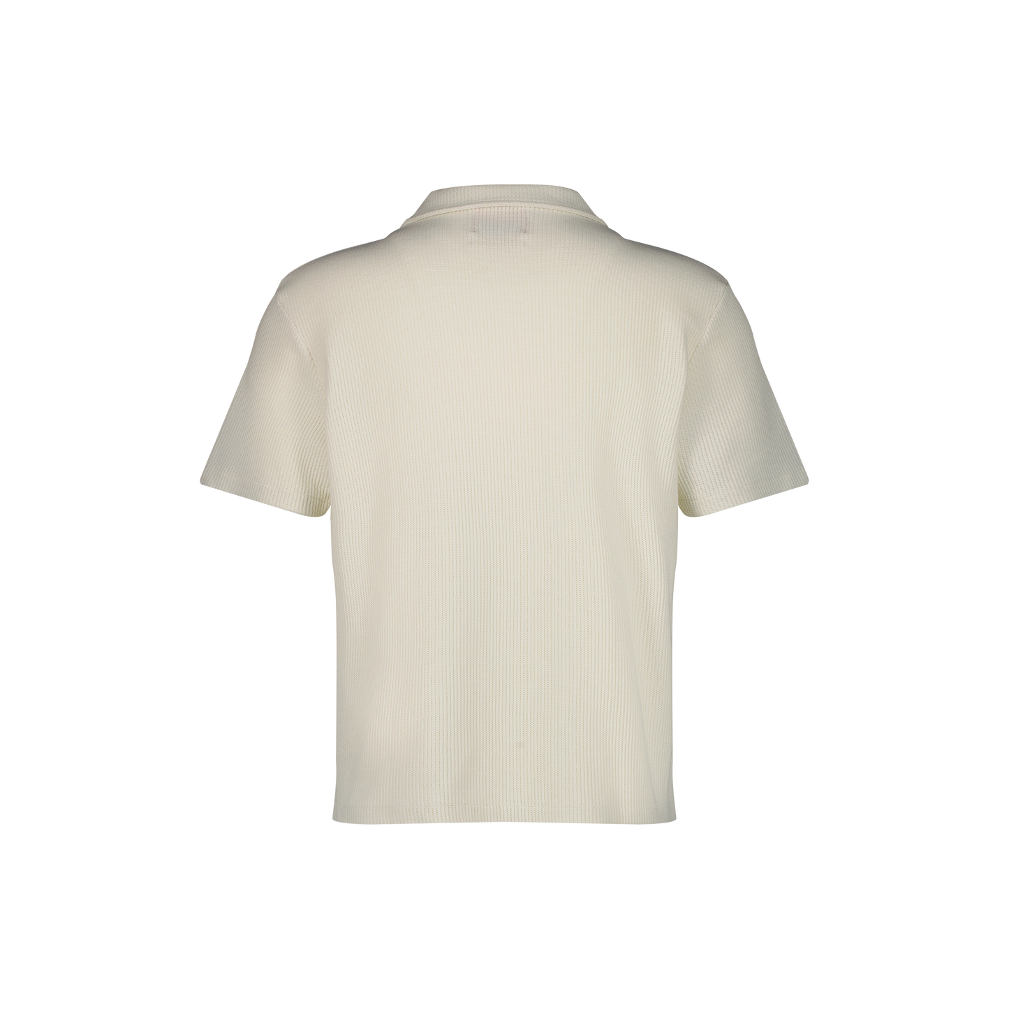 Polo Col Requin Écru
