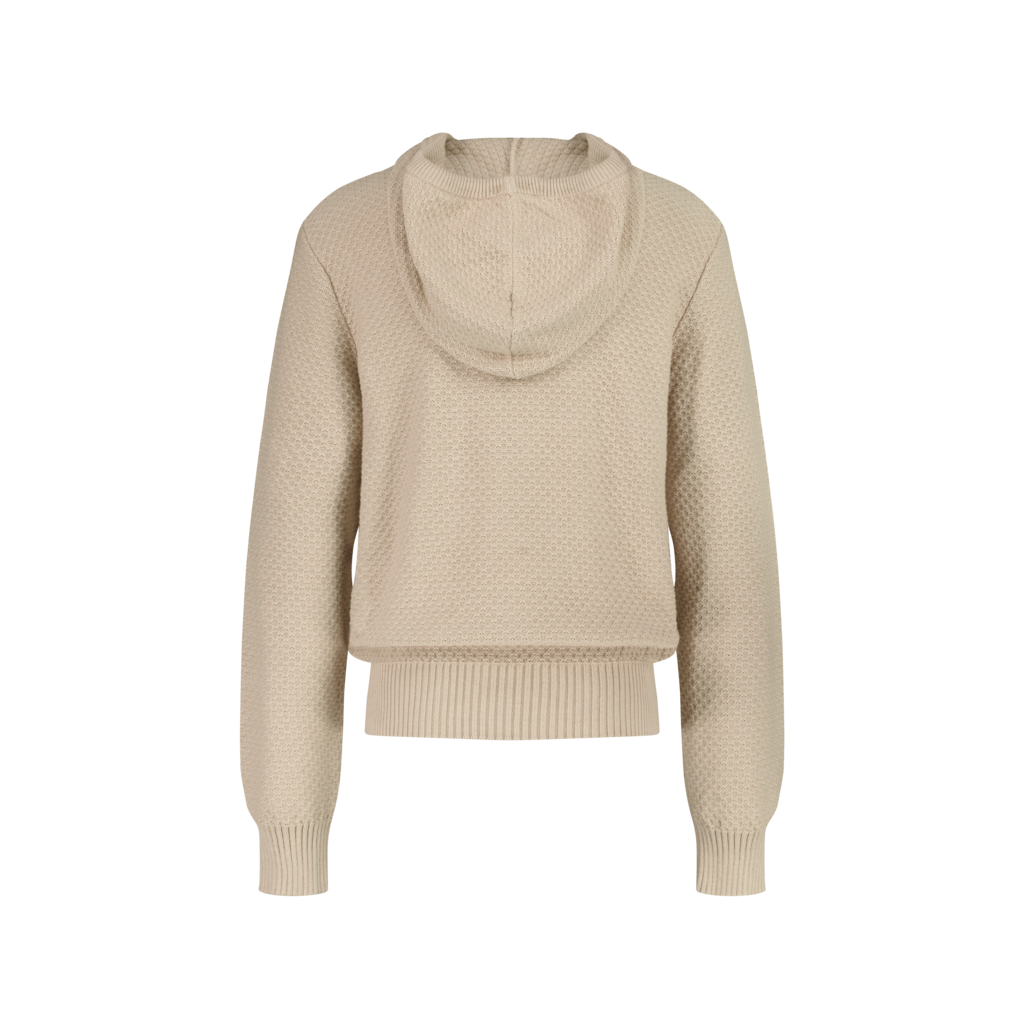 Pull à capuche Camel
