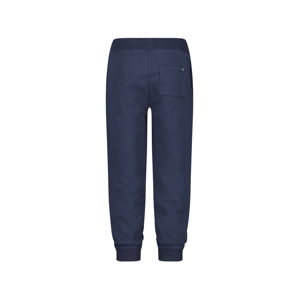 Navy Fleece Pants