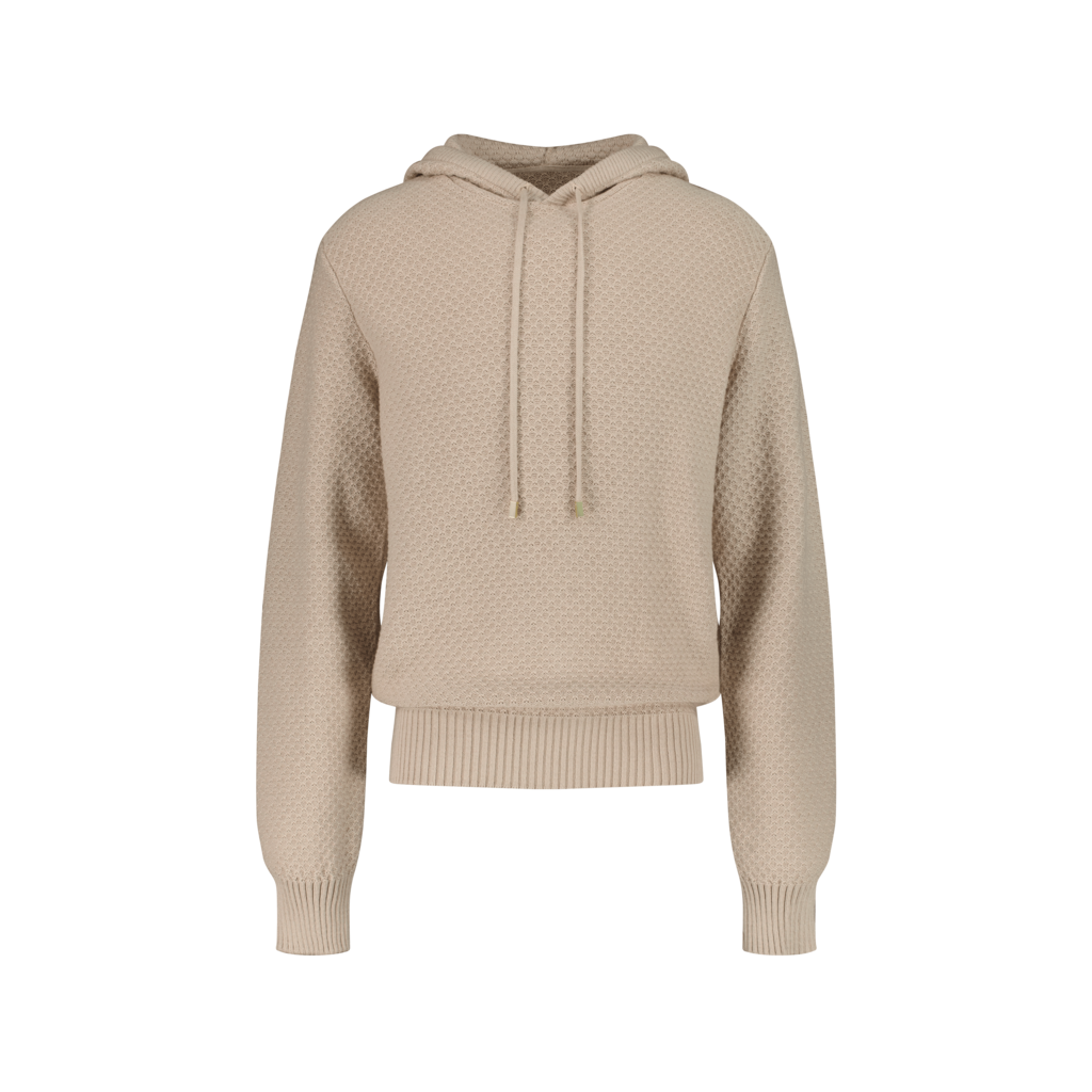 Pull à capuche Camel